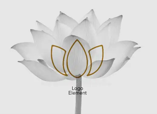 Maharishi Ayurveda Brand Revamp - Almond Branding Top Branding Agency India Best Packaging Design Agency Mumbai Maharishi Ayurveda Logo Element