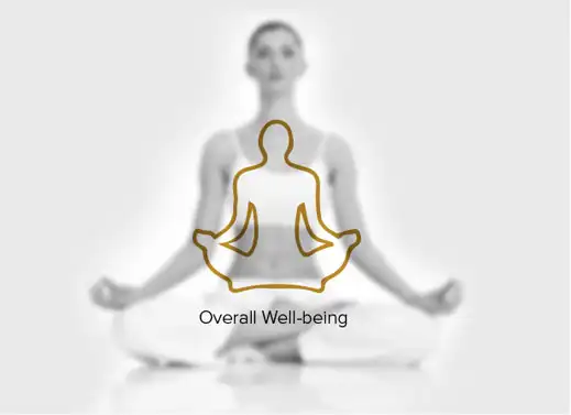 Maharishi Ayurveda Brand Revamp - Almond Branding Top Branding Agency India Best Packaging Design Agency Mumbai Maharishi Ayurveda Wellbeing