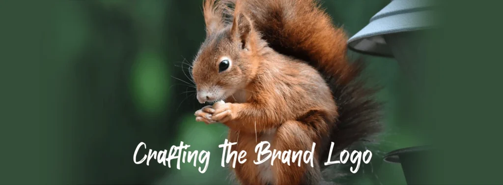 Kravio – Creating a Premium Snack Startup Brand - Almond Branding Top Branding Agency India Best Design Agency Mumbai Kravio Best Startup Branding Logo Inspiration