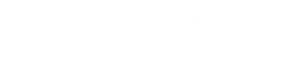 logo light